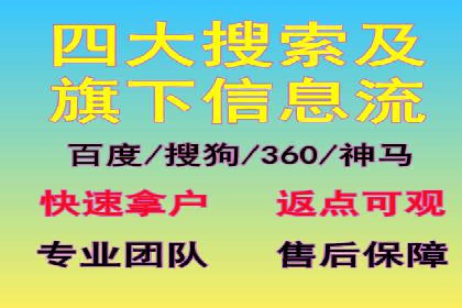 SEM主管实战：数据分析与策略调整